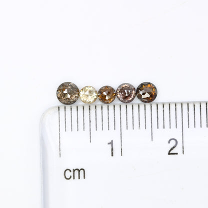 0.88 CT 2.90 MM Natural Salt and Pepper Diamond | Loose Diamonds | Brown Diamond | Fancy Coloured Diamond| Diamond For Pair of Earring, Ring