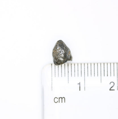 1.59 CT Natural Rough Black Diamond | Raw Diamond | Raw Loose Diamond For Ring | Raw Uncut Diamond | Rough Diamond Jewelry Gift