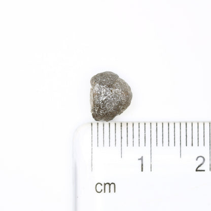 1.72 CT Uncut Raw Salt and Pepper - Loose Rough Diamond - Raw Irregular Shape - Customize Jewelry - Sale Offer - Christmas Gift